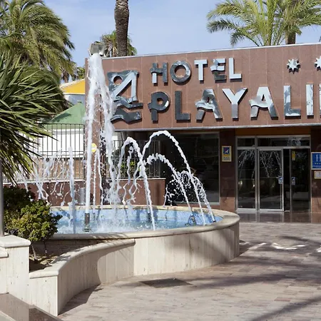 ホテル Playalinda 4*